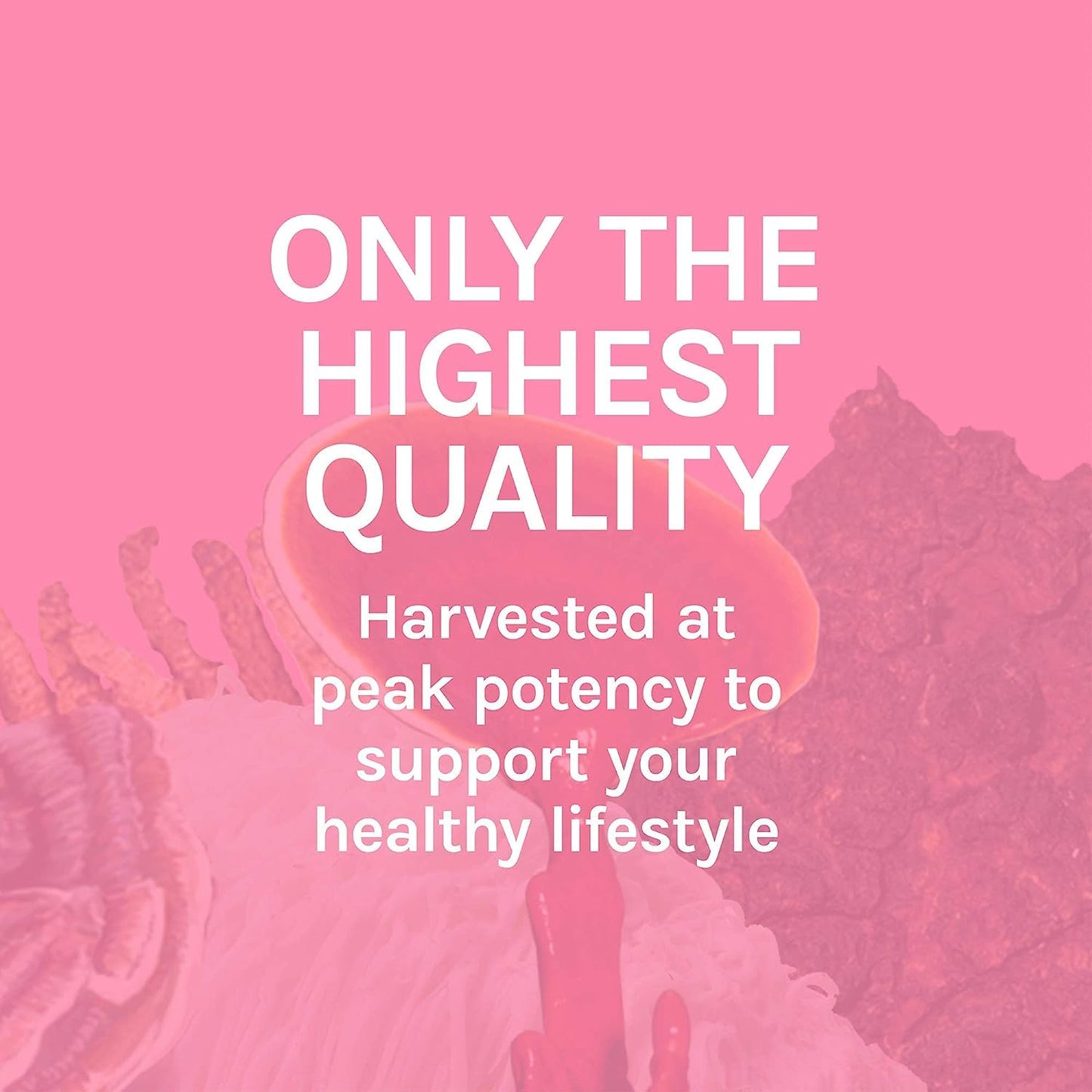 Host Defense Turkey Tail Capsules – Digestive Health & Immune Support