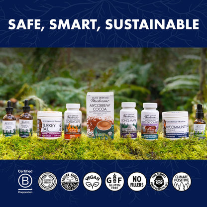 Host Defense Lion's Mane – Brain Health & Focus Support (60 Capsules)
