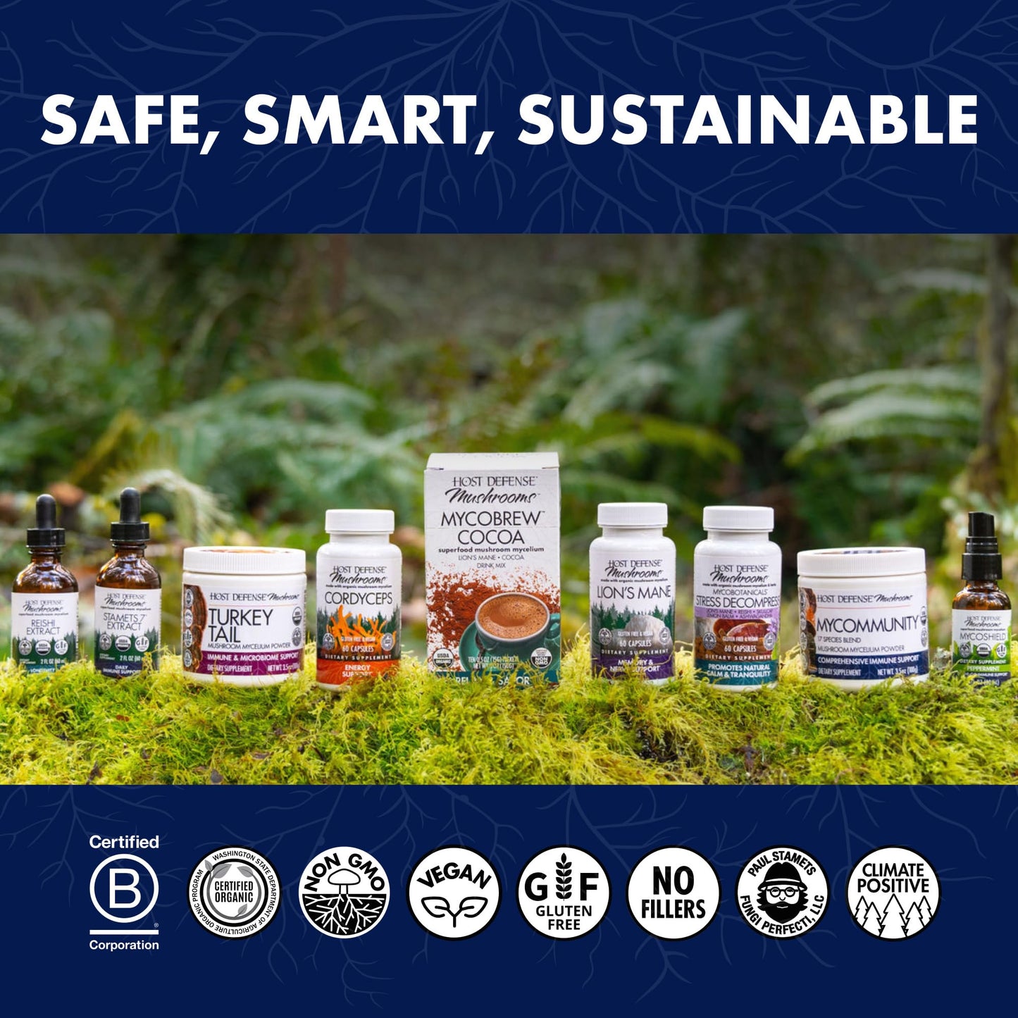 Host Defense Mushrooms Lion's Mane – Brain Health & Focus Capsules (30 Capsules / 15 Servings)