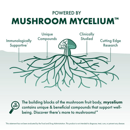 Host Defense MycoBotanicals Capsules – Reishi, Chaga & Maitake Mushroom Supplement (60 Capsules, 30 Servings)
