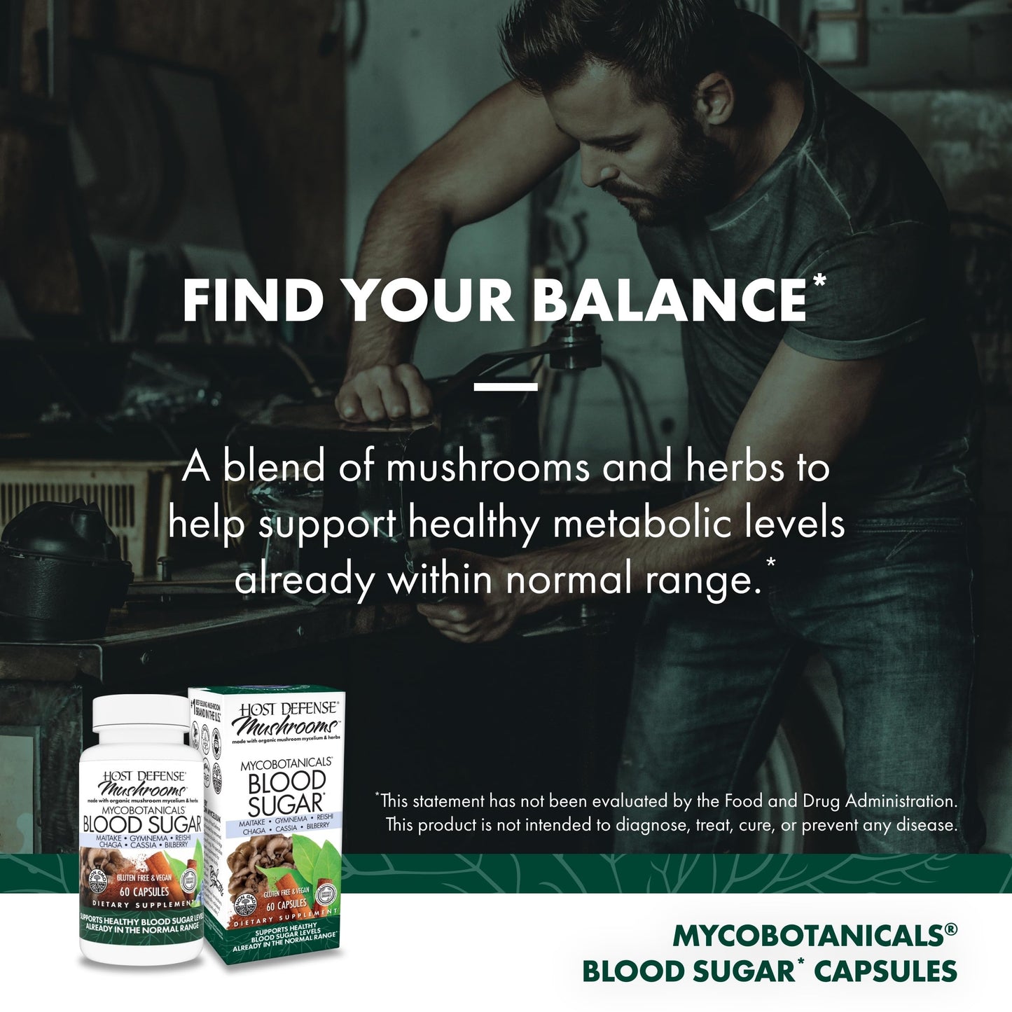Host Defense MycoBotanicals Capsules – Reishi, Chaga & Maitake Mushroom Supplement (60 Capsules, 30 Servings)