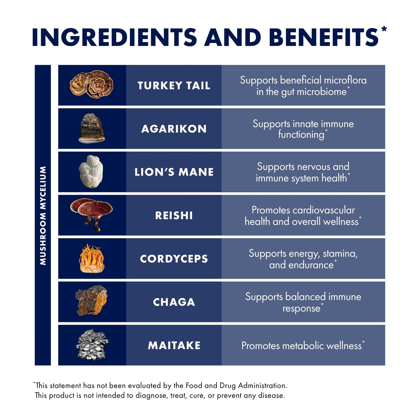 Host Defense MyCommunity Capsules – 17-Species Mushroom Blend for Immune Support (120 Vegan Capsules)