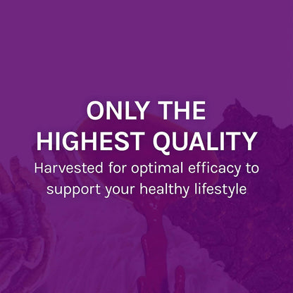 Host Defense MyCommunity Extract – 17-Species Mushroom Supplement for Immune Support | 1 fl oz