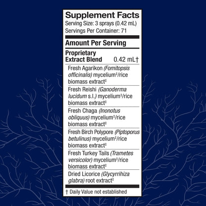 Host Defense MycoShield Throat Spray – Immune Support Mushroom Formula (Chaga, Reishi, Turkey Tail, Licorice Root) 1 oz