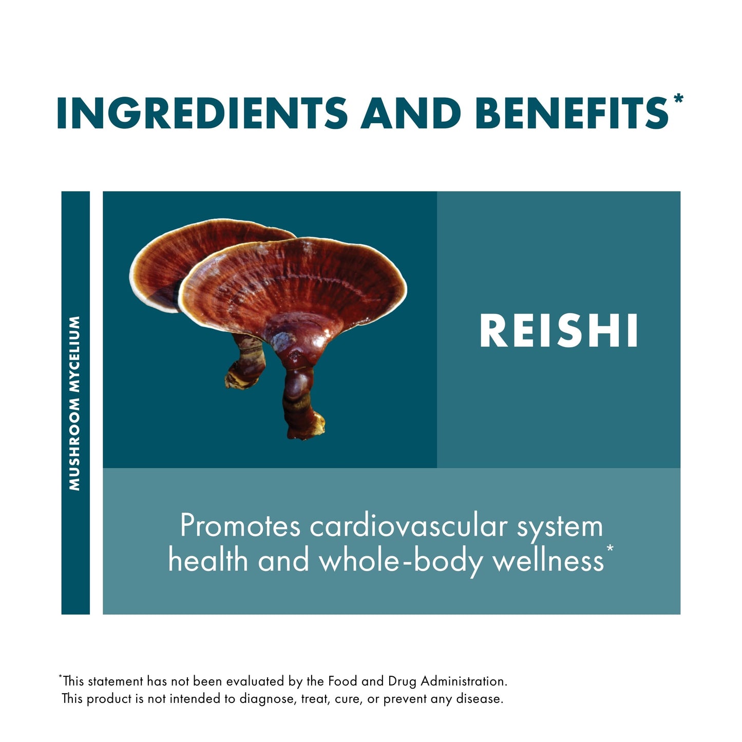 Host Defense Reishi Capsules | Immune & Heart Health Support, Energy & Vitality – 120 Capsules
