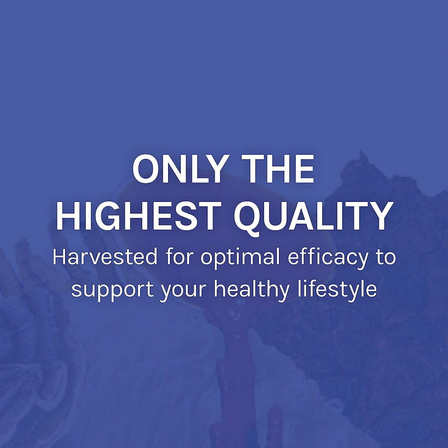 Host Defense Stamets 7-7 Species Mushroom Blend – Immune Support Supplement – 120 Capsules
