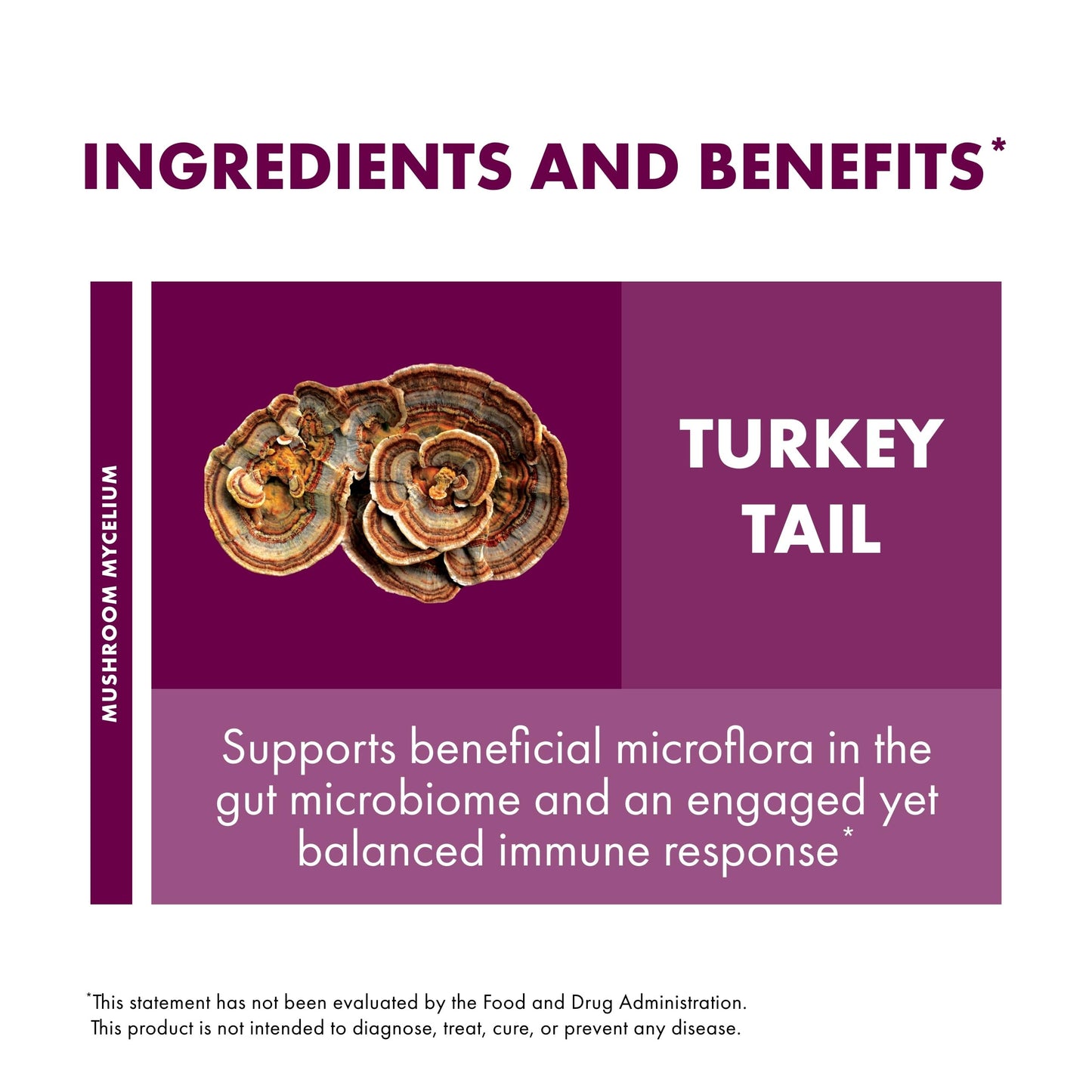 Host Defense Turkey Tail Capsules – Digestive Health & Immune Support