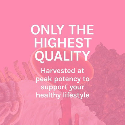 Host Defense Turkey Tail Extract – Digestive Health and Immune Support