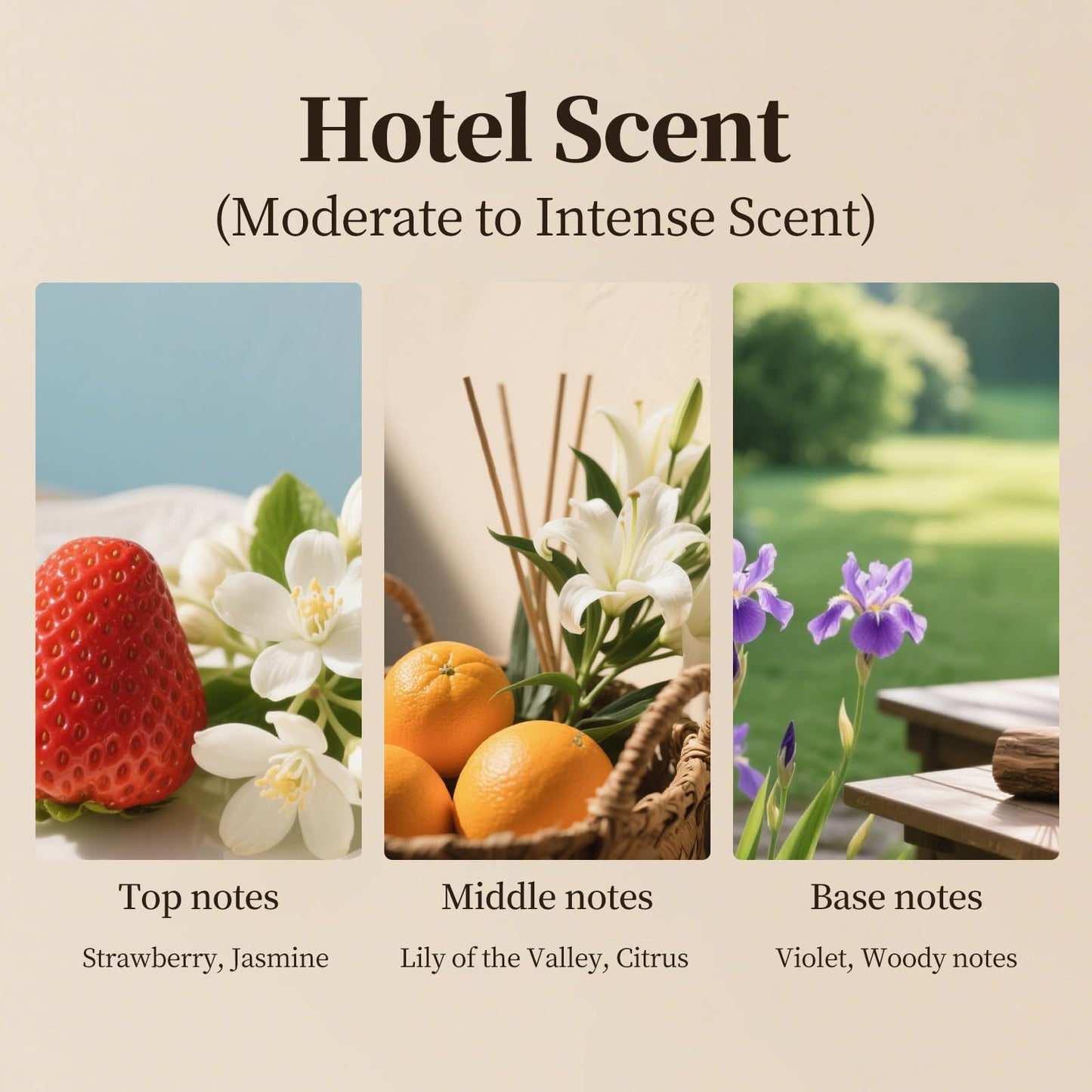 Hotel Essential Oil Scent for Diffusers – 100ml | Long-Lasting Reed & Ultrasonic Diffuser Oil