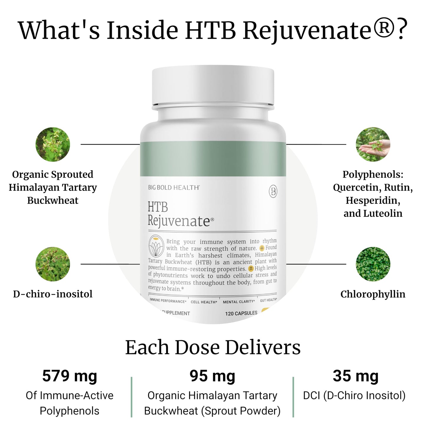 BIG BOLD HEALTH HTB Immune Rejuvenate – Polyphenol Immune Support with Himalayan Tartary Buckwheat, 120 Vegetarian Capsules