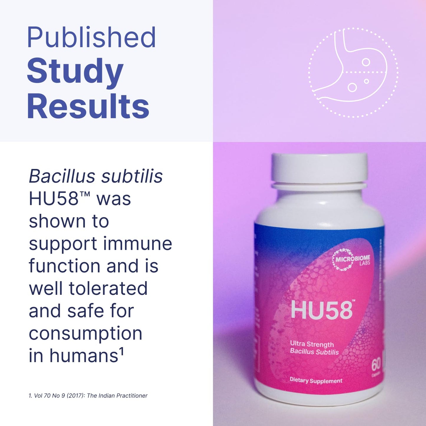 Microbiome Labs HU58 Bacillus Subtilis Probiotics for Digestive Health & Immune Support - 10B CFU Daily Capsules (60)