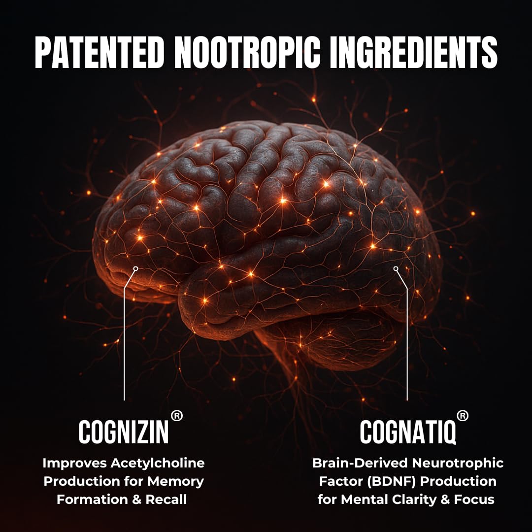FOCUS by HUMBLEROOTS PERFORMANCE – Advanced Nootropic Brain Support (Lion’s Mane, Caffeine, L-Theanine) 90 Capsules