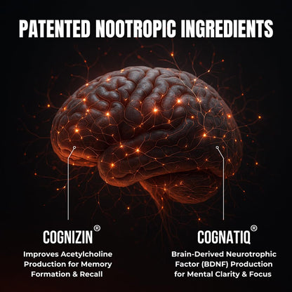 FOCUS by HUMBLEROOTS PERFORMANCE – Advanced Nootropic Brain Support (Lion’s Mane, Caffeine, L-Theanine) 90 Capsules