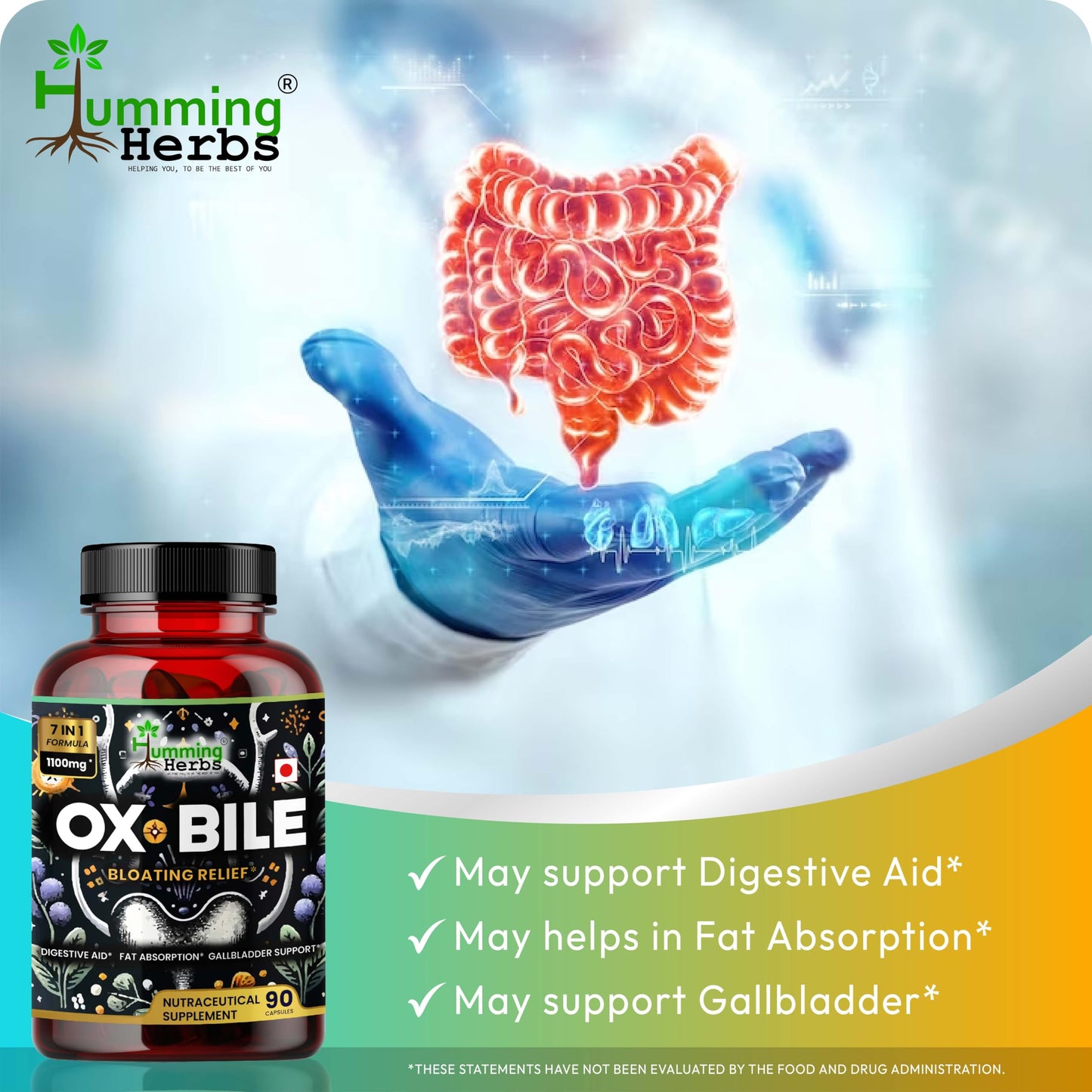 Humming Herbs Ox Bile with Digestive Enzymes & Probiotics – 90 Veg Caps