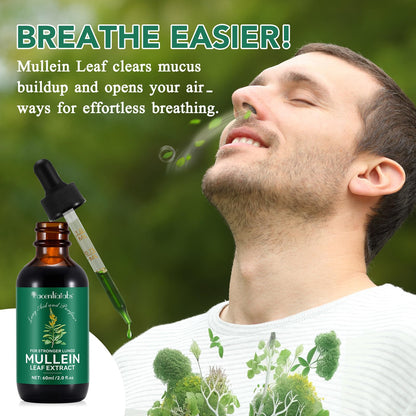 HUYEHF Mullein Drops - Mullein Leaf Extract for Lungs, Fast Absorption
