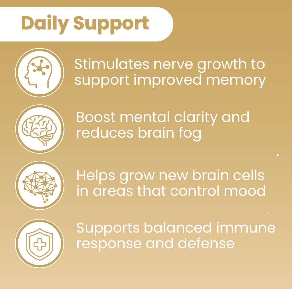 Sanar Naturals Lion's Mane Supplement – Brain Function, Memory & Immune Support, 120 Capsules