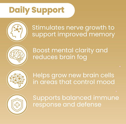 Sanar Naturals Lion's Mane Supplement – Brain Function, Memory & Immune Support, 120 Capsules