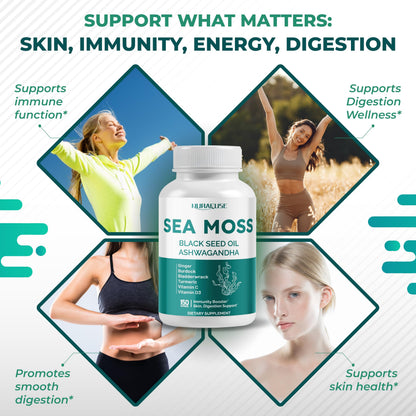 SEA Moss Black Seed Oil Ashwagandha Ginger 16-in-1 Formula - Non-GMO, Gluten-Free, Soy-Free