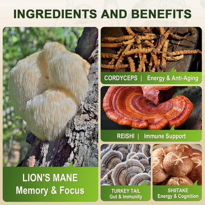 Lions Mane Mushroom Capsules – Memory, Focus & Immune Support | 117 Vegan Capsules