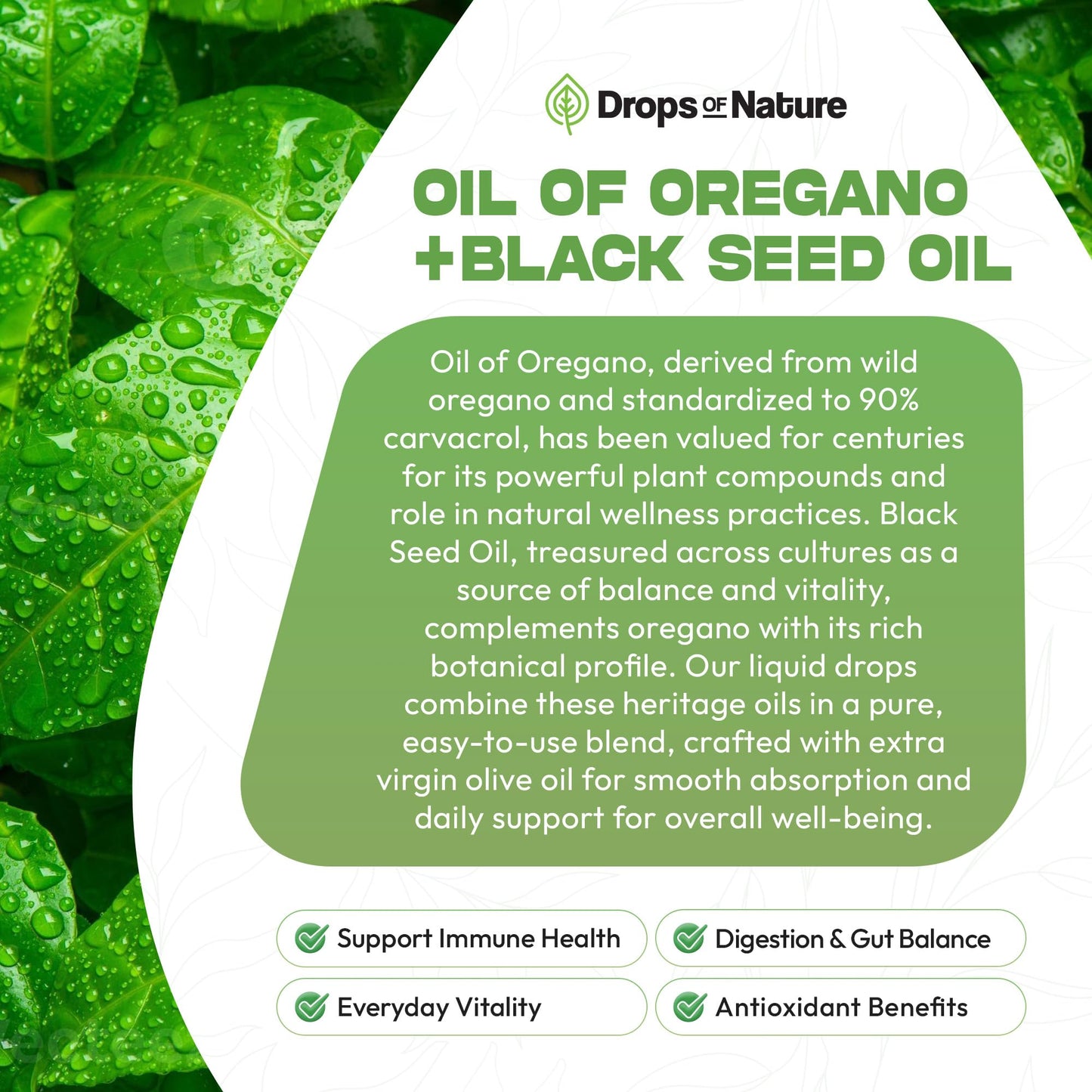 Oil of Oregano with Black Seed Oil – 90% Carvacrol, Black Currant Seed Oil (30mL) – Immune & Digestive Support