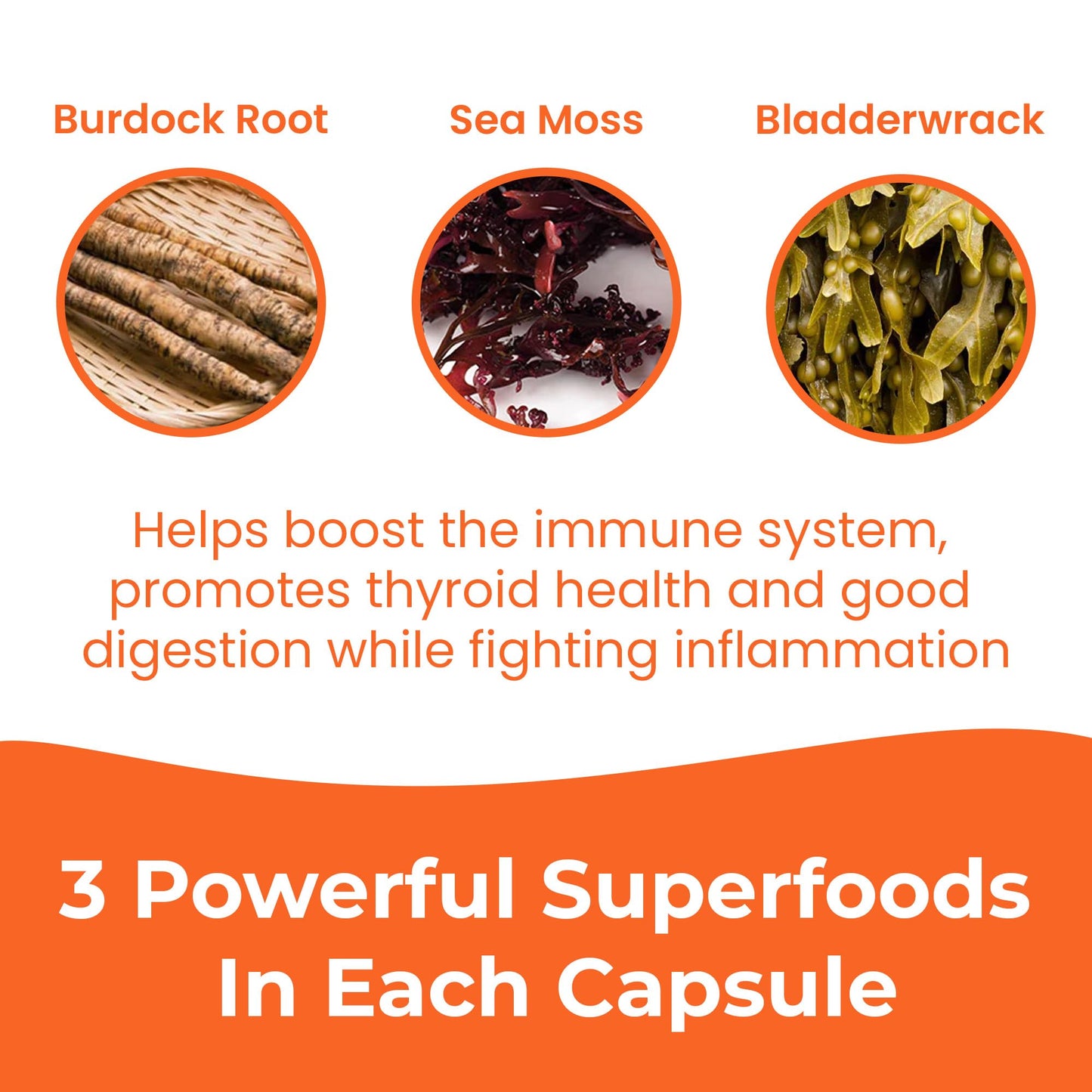 INFINITE AGE 2 Pack Sea Moss Capsules 1250mg – Vegan, Made in USA, Irish Sea Moss + Bladderwrack