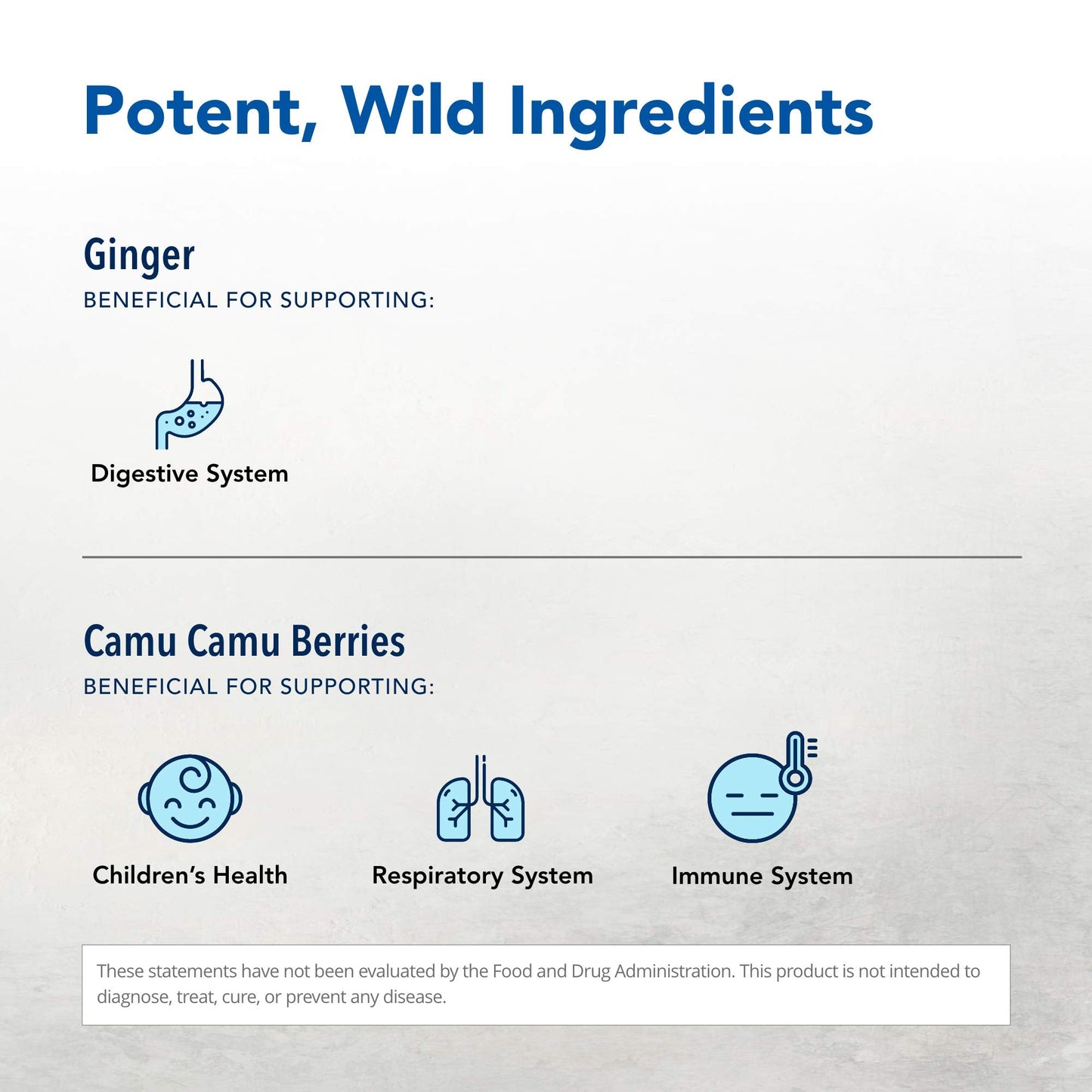 Inflam-EEZ by North American Herb & Spice - 90 VegiCaps | Immune & Inflammation Support