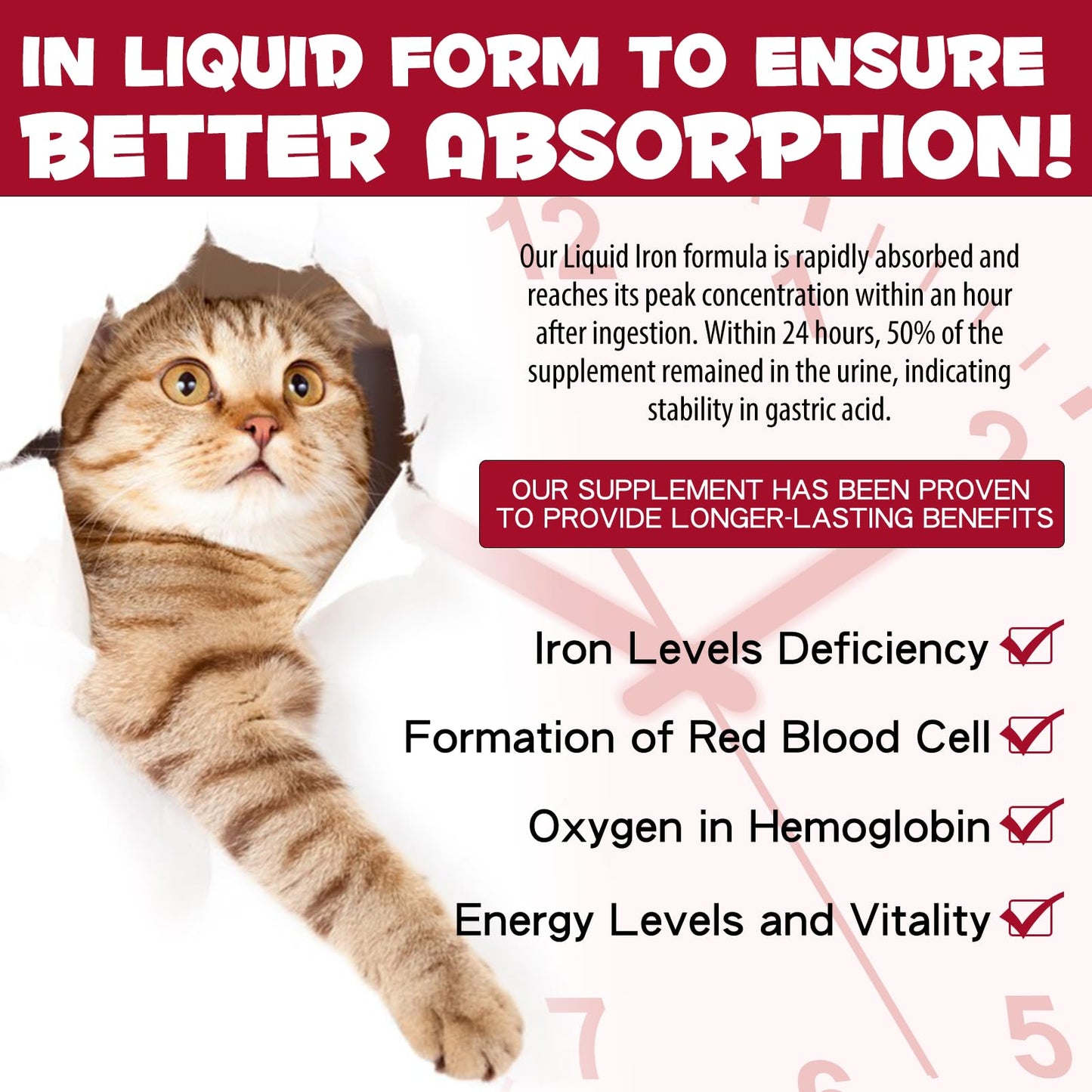 Iron Supplements for Cats - 60ML Liquid Iron with Folate and B12 | Supports Anemia, Energy Levels, and Blood Health