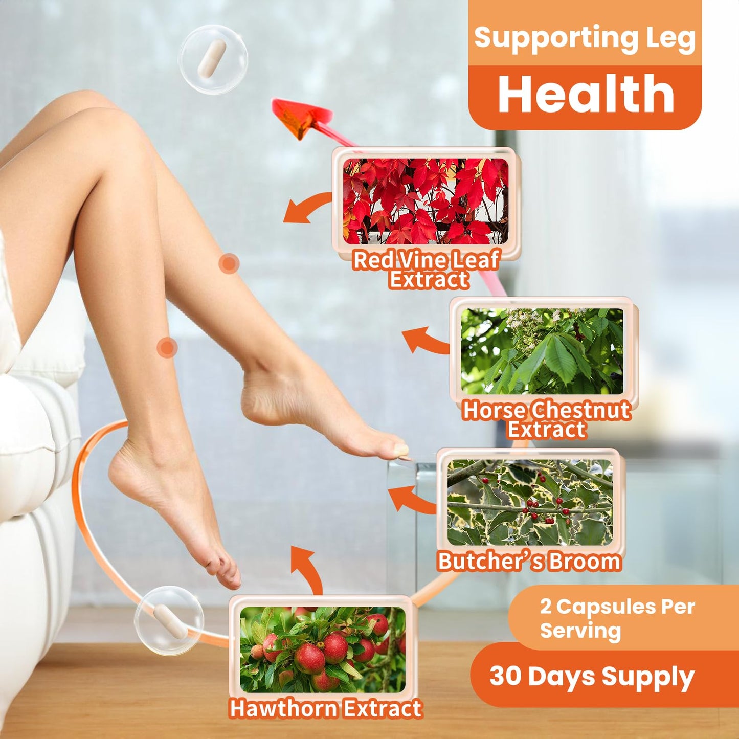 inGreens 1630mg Red Vine Leaf Extract - Varicose Veins & Circulation Support - 2 Pack - Made in USA