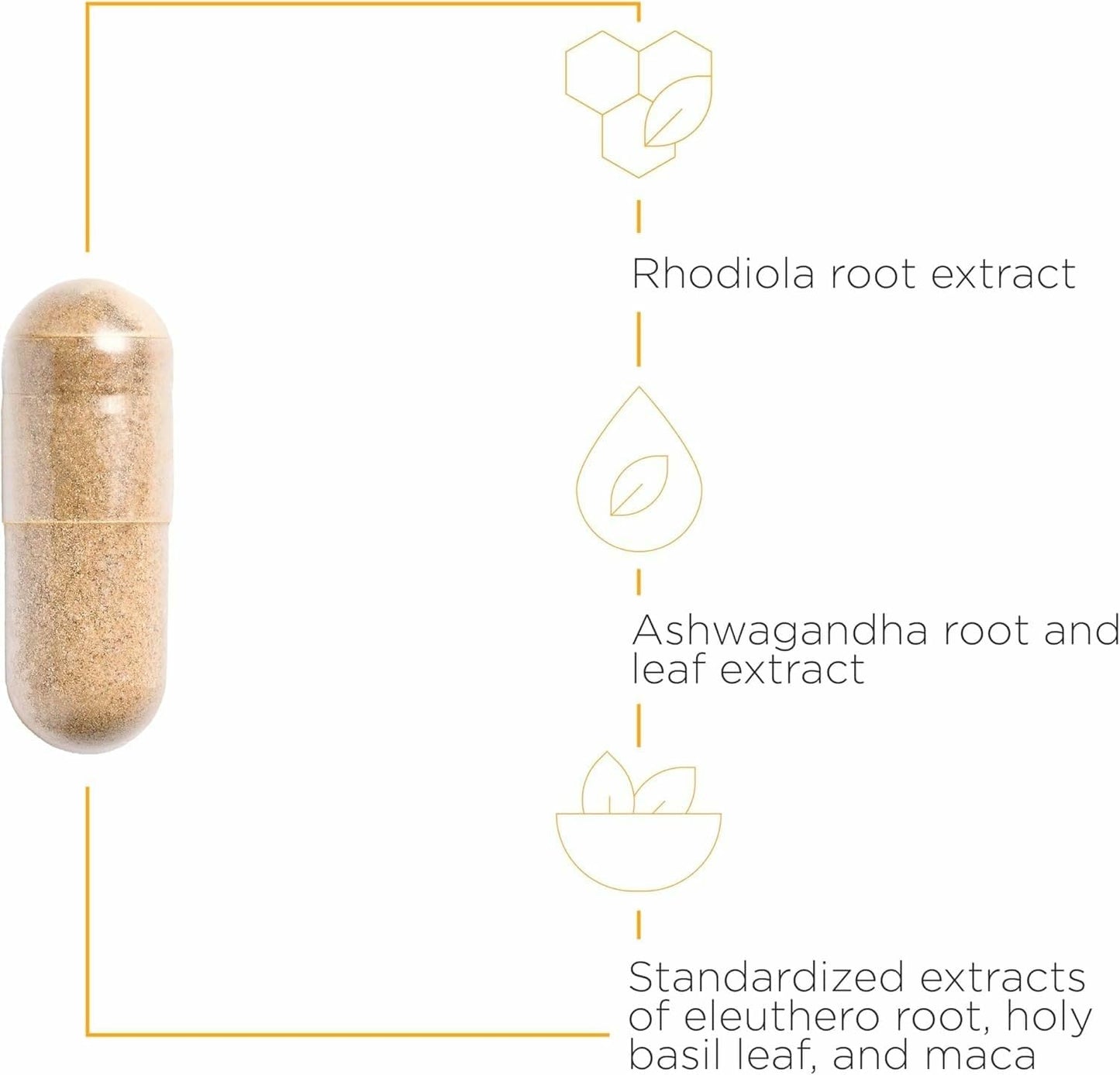 Integrative Therapeutics HPA Adapt – Adaptogenic Stress Support Supplement | Ashwagandha, Rhodiola, Maca | Vegan, Gluten-Free | 240 Capsules