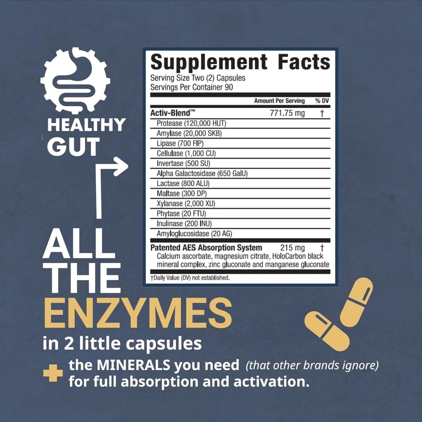 Healthy Gut HoloZyme Max Strength Digestive Enzymes | FODMAP Support with Inulinase, Amyloglucosidase & Invertase | 90 Servings