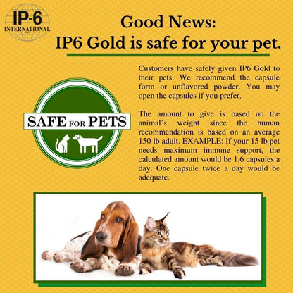 IP6 Gold IP-6 & Myo-Inositol Unflavored Powder, 308 g – Vegan & Non-GMO, Gluten Free