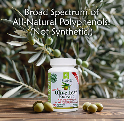 Island Nutrition Olive Leaf Extract Capsules – 25% Oleuropein, 40% Polyphenols, 20% Hydroxytyrosol Complex – 90 Capsules, Spain-Grown