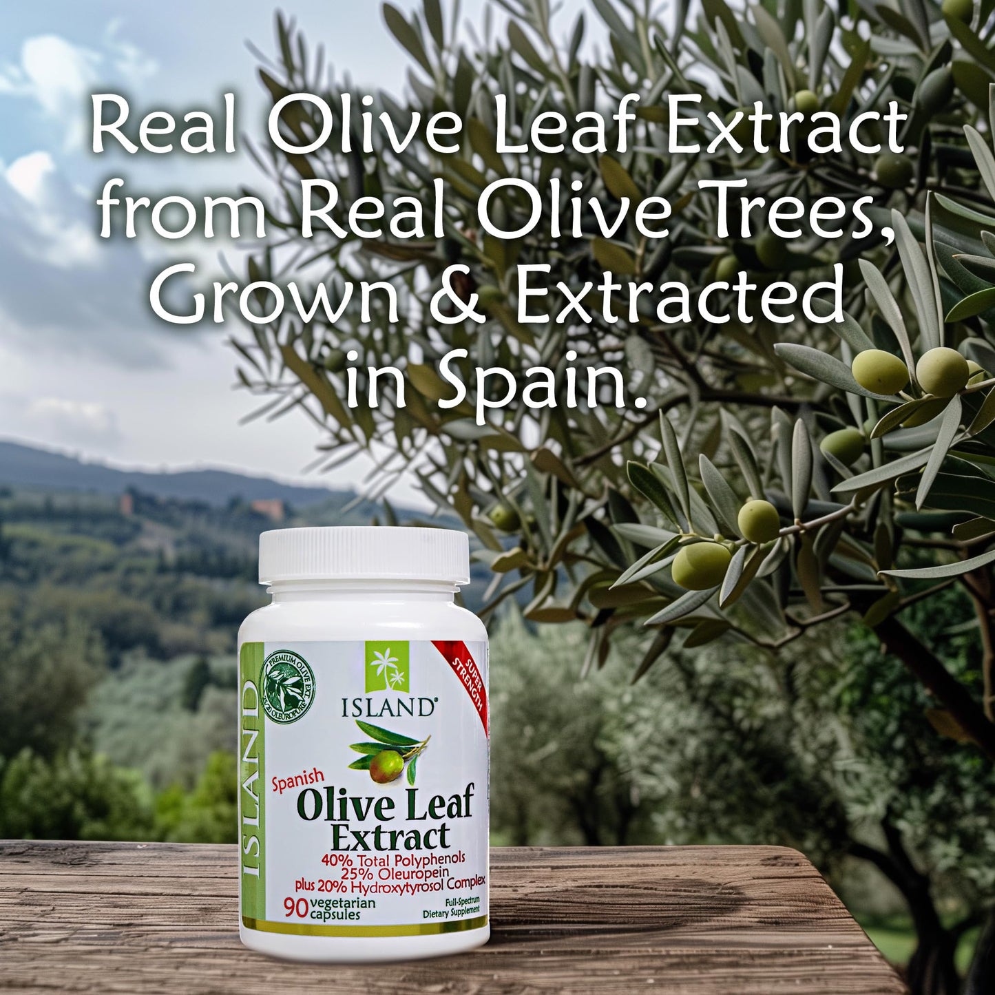 Island Nutrition Olive Leaf Extract Capsules – 25% Oleuropein, 40% Polyphenols, 20% Hydroxytyrosol Complex – 90 Capsules, Spain-Grown