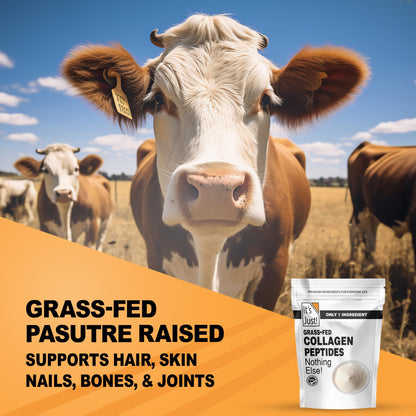 It's Just! Collagen Peptides – Grass-Fed, 40 oz Protein Powder