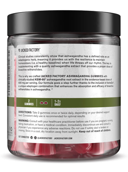 Jacked Factory Ashwagandha Gummies – KSM-66 600mg per Serving | 120 Gummies, Cherry Splash