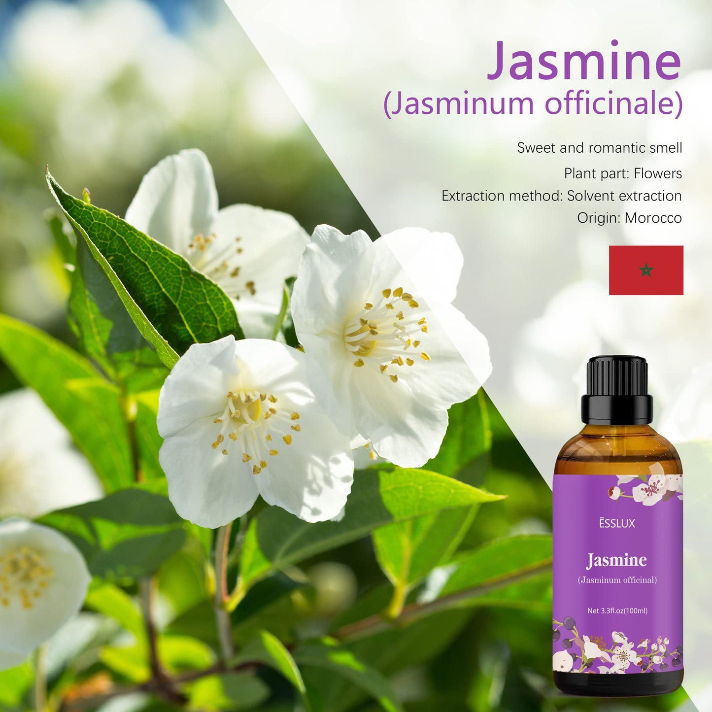 Jasmine Essential Oil 100ml | ESSLUX Aromatherapy