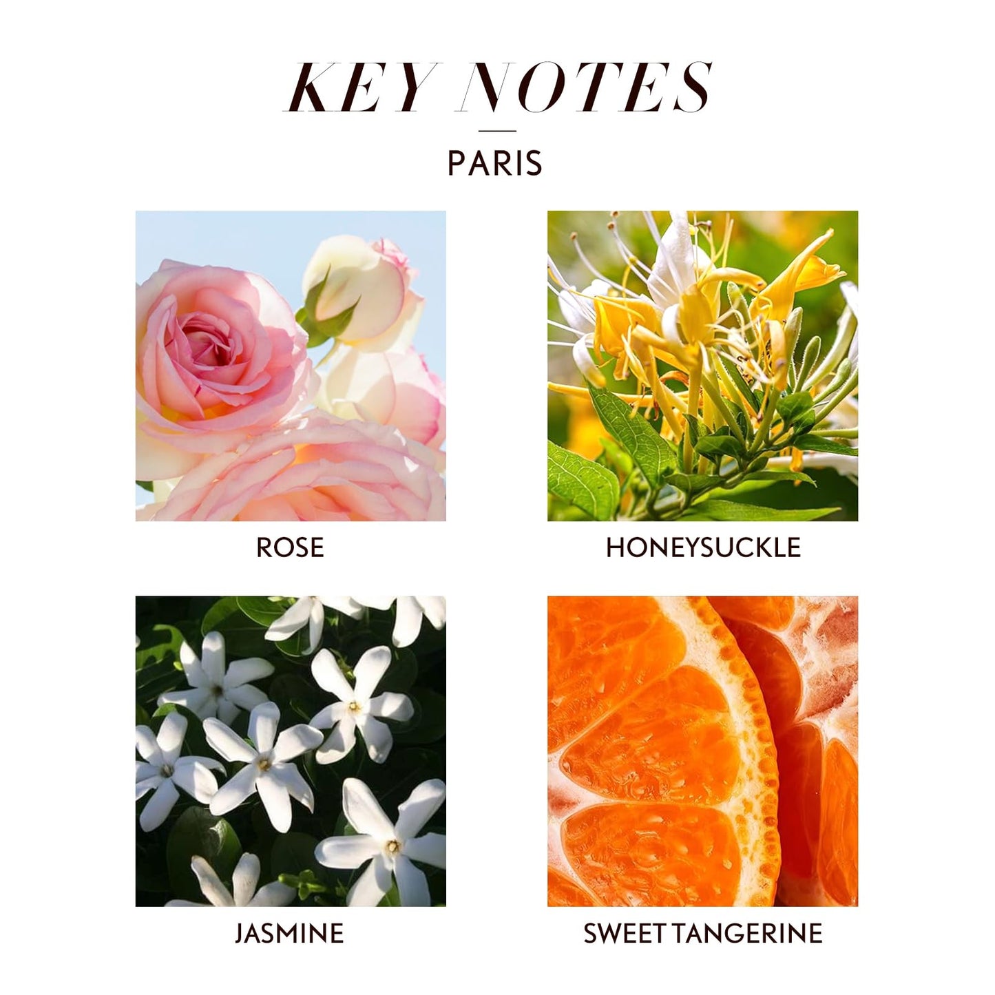 JCLOUD Paris Essential Oil for Diffuser – Luxury Hotel Scent (100mL)