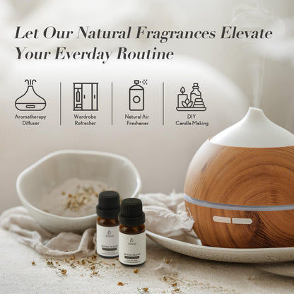 JCLOUD Sophisticated Allure Essential Oil – Hilton-Inspired Scent | 10mL