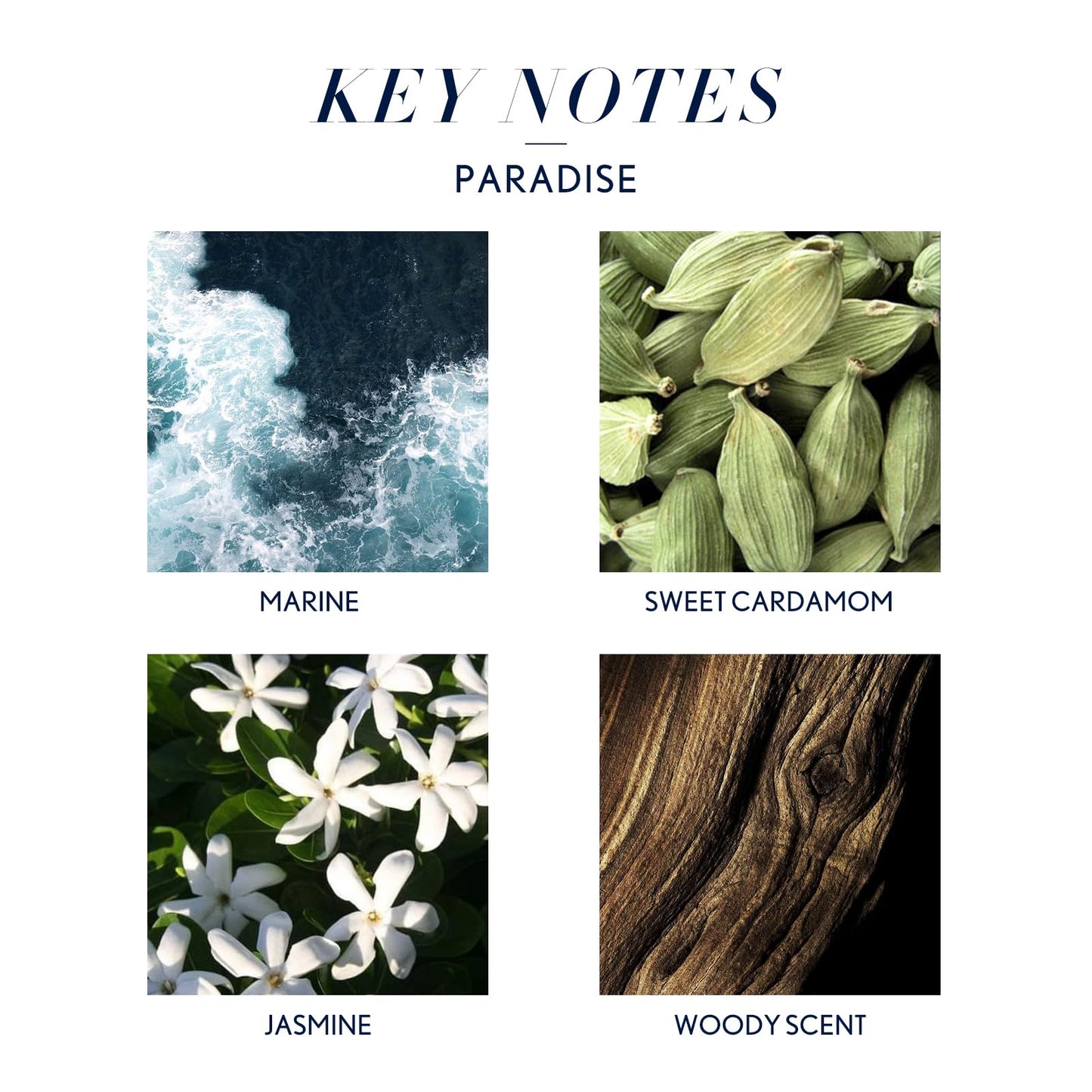 JCLOUD Paradise Essential Oil for Diffuser – Luxury Hotel Scent