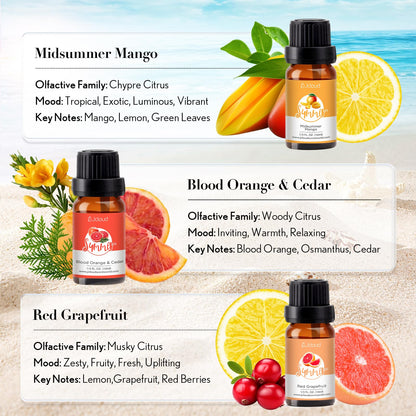 JCLOUD Summer Fragrance Oils Set – 6x10mL Diffuser Oils Gift Set