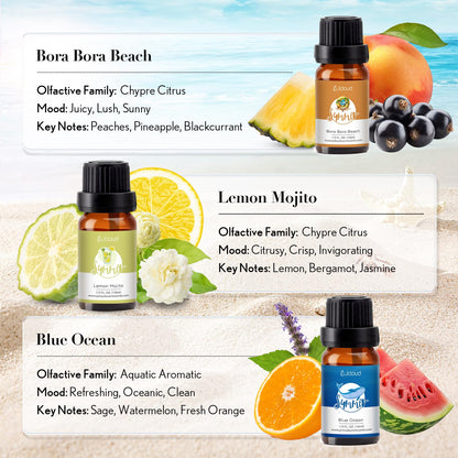 JCLOUD Summer Fragrance Oils Set – 6x10mL Diffuser Oils Gift Set