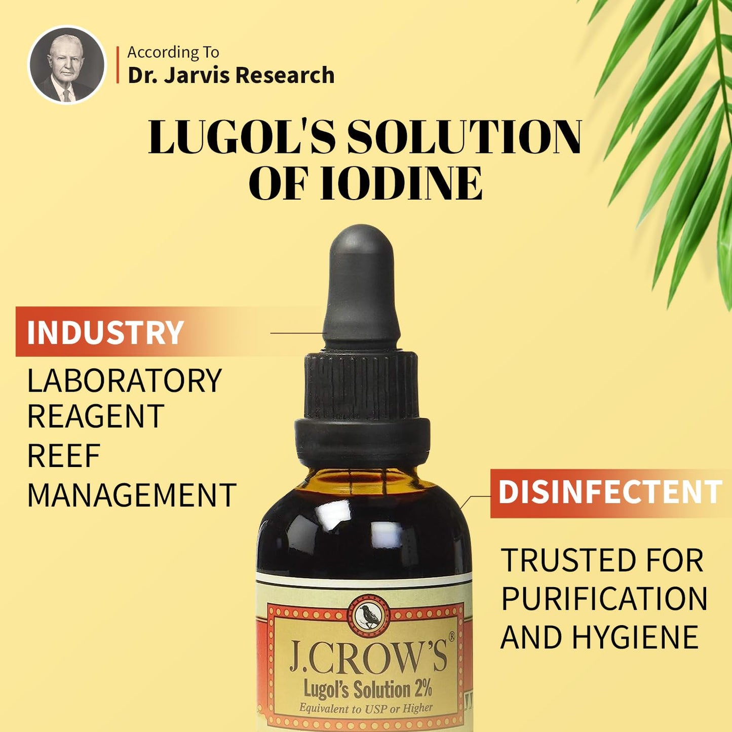 J.CROW'S Lugol's Solution 2% Iodine – 12 Bottle Bundle, Gluten & Alcohol-Free, No Expiration