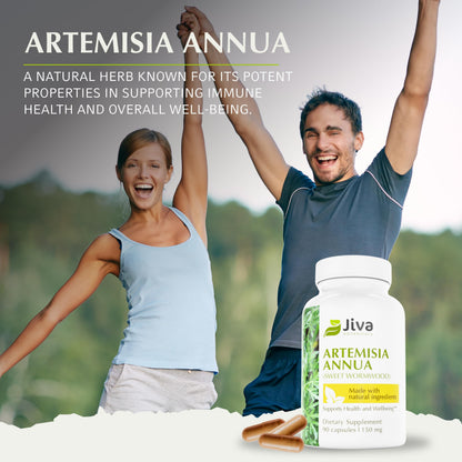 Jiva Botanicals Artemisia Annua Wormwood Capsules – Immune & Liver Health – USA Made (90 Capsules)