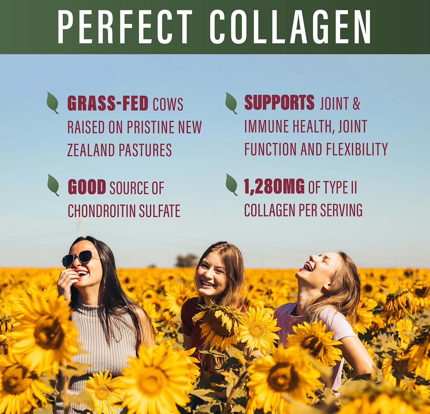 Perfect Type II Collagen – 150 Capsules | Pasture Raised | Joint Support