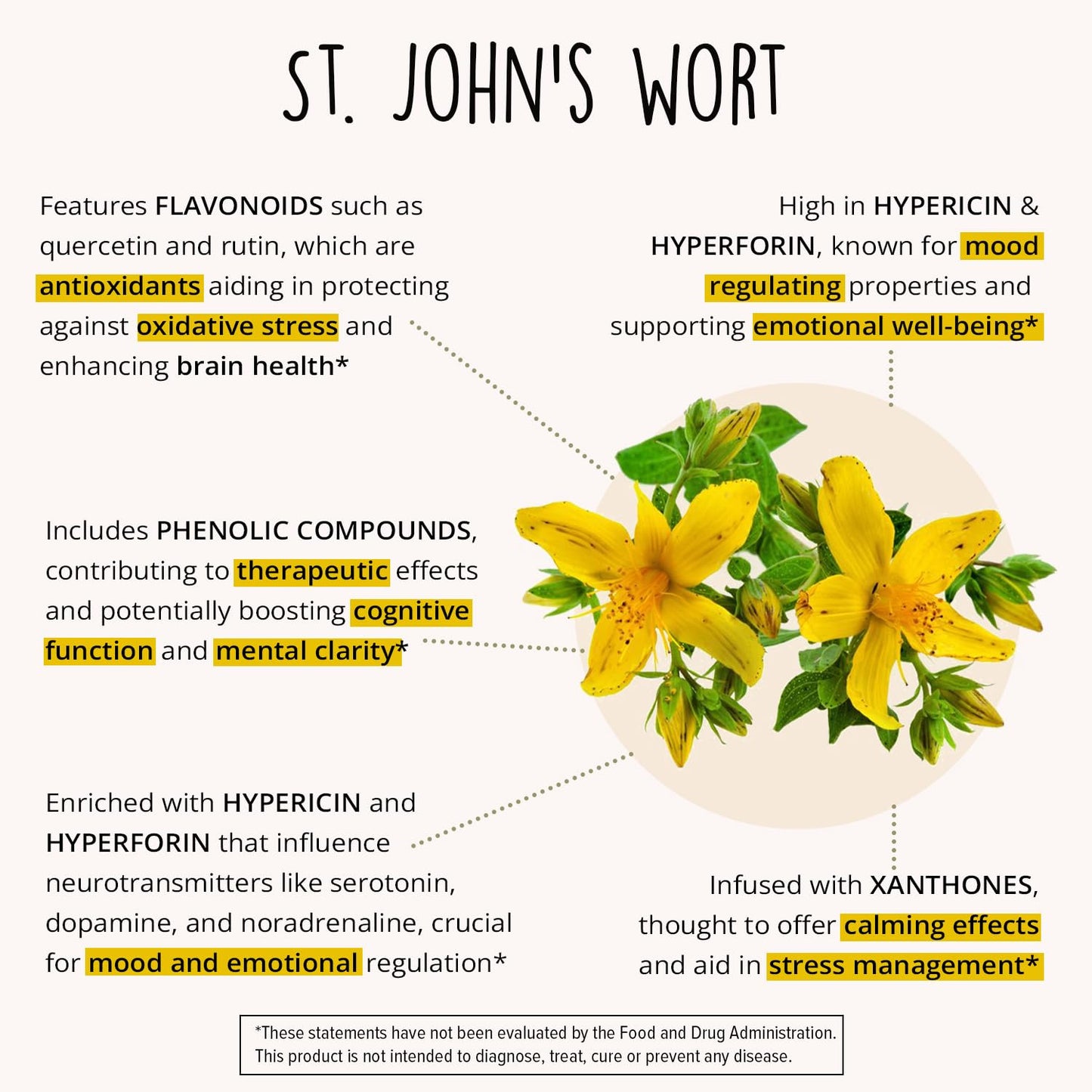 Joy-Filled Mood Support Supplement — 7-Herb Complex w/St. John's Wort (120 Ct) | Plant-Based Mood & Stress Support | Happy Healthy Hippie