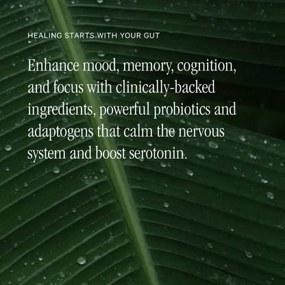 Juna Gut Therapy | Advanced Brain & Gut Health - 80 Caps