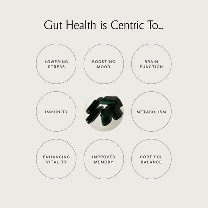 Juna Gut Therapy | Advanced Brain & Gut Health - 80 Caps