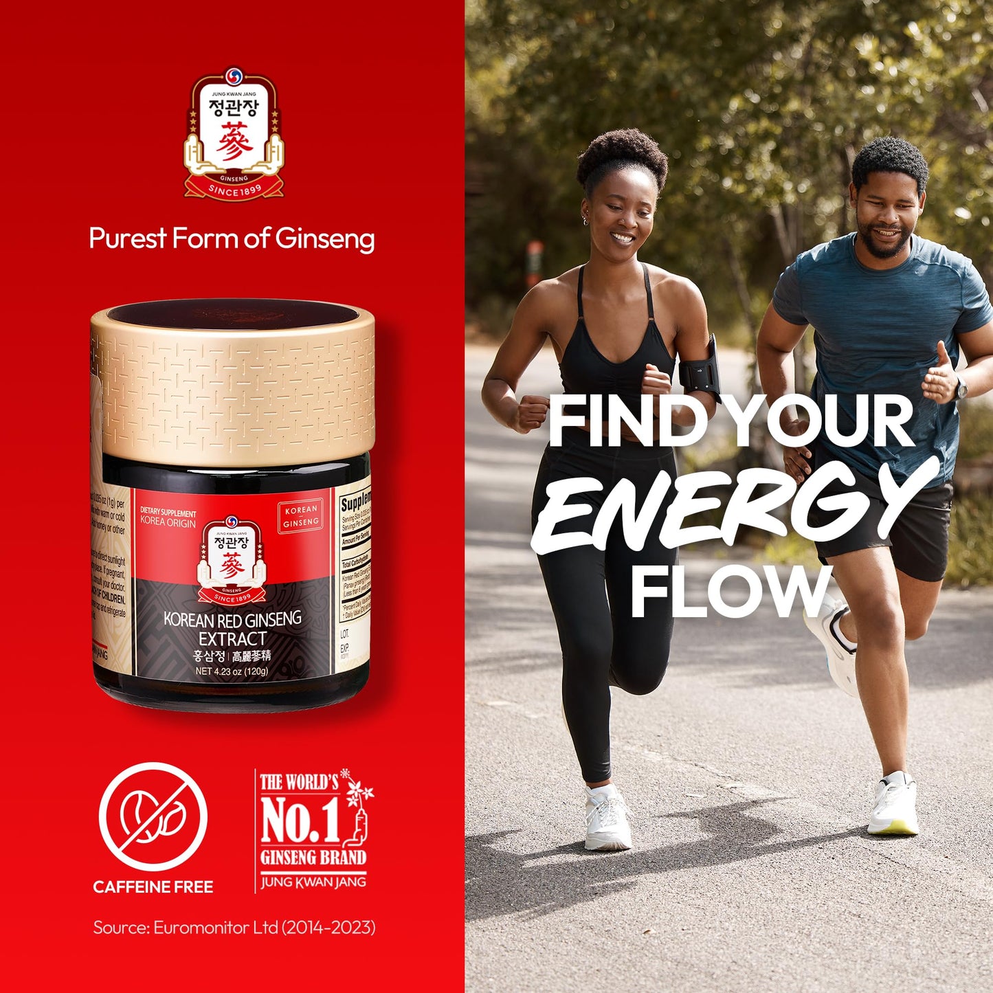 JUNG KWAN JANG US Korean Red Ginseng Extract Paste – Energy & Immune Support (120g)