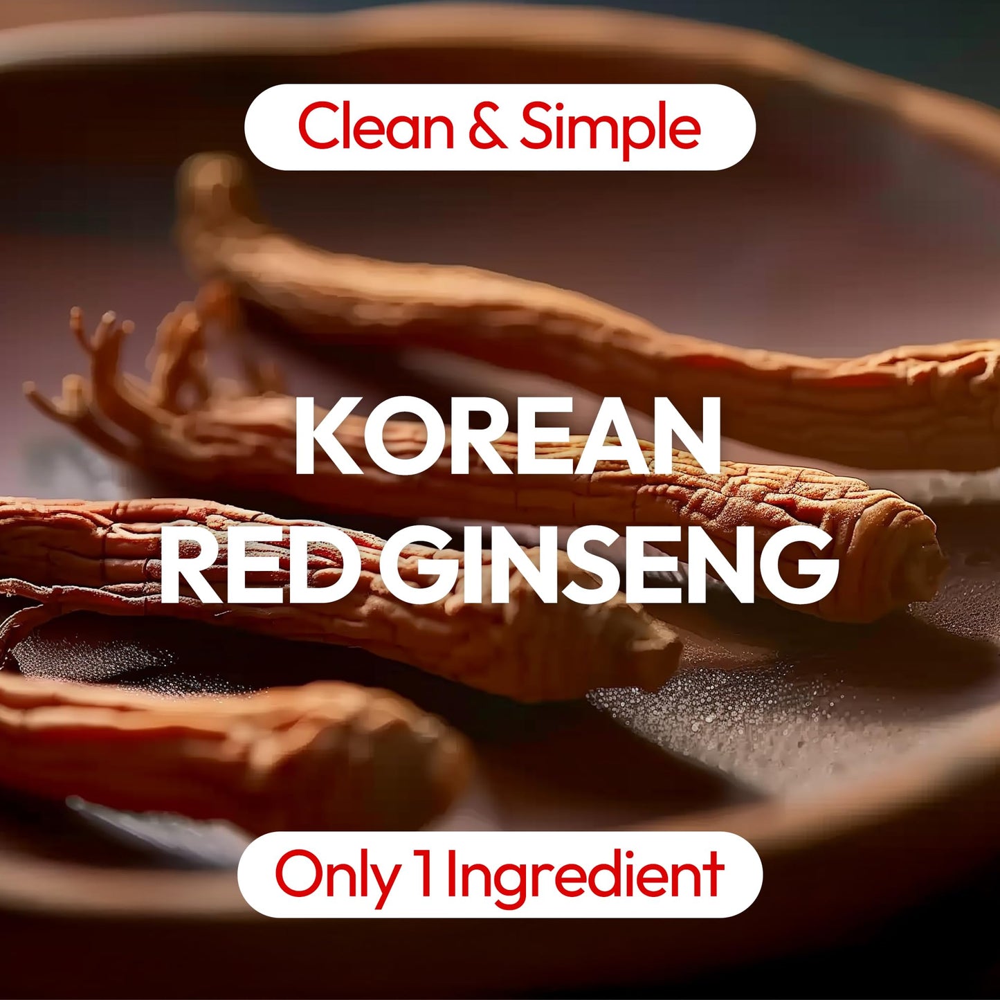 JUNG KWAN JANG US Korean Red Ginseng Extract Paste – Energy & Immune Support (120g)