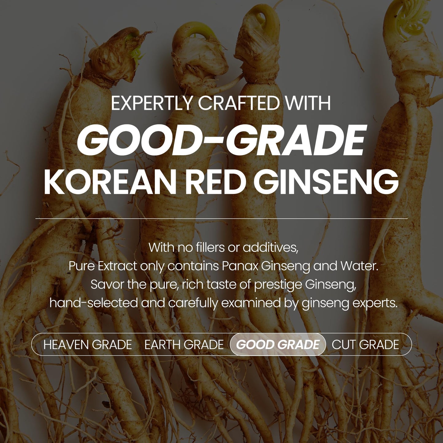 JungKwanJang Korean Red Ginseng Pure Extract – Premium Grade, 30 Count